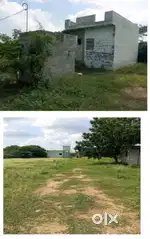 Nelai village, kangeyam taluk,  thirupur district - 641601 ,tamil nadu