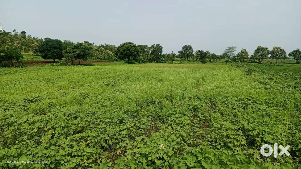 Urgent Selling 1 Akker 40r at 2600000/- All document clear