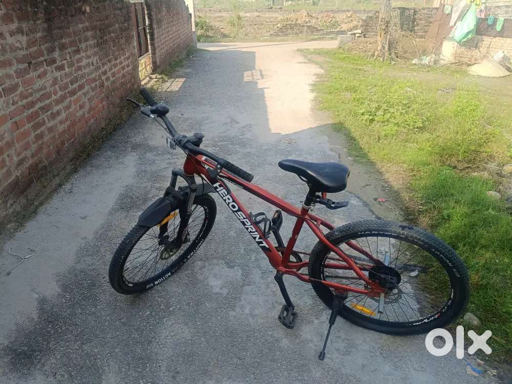 Hero sprint revenge model cycle