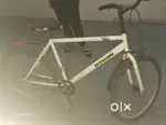 Decathlon cycle