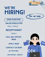 Sales Executive