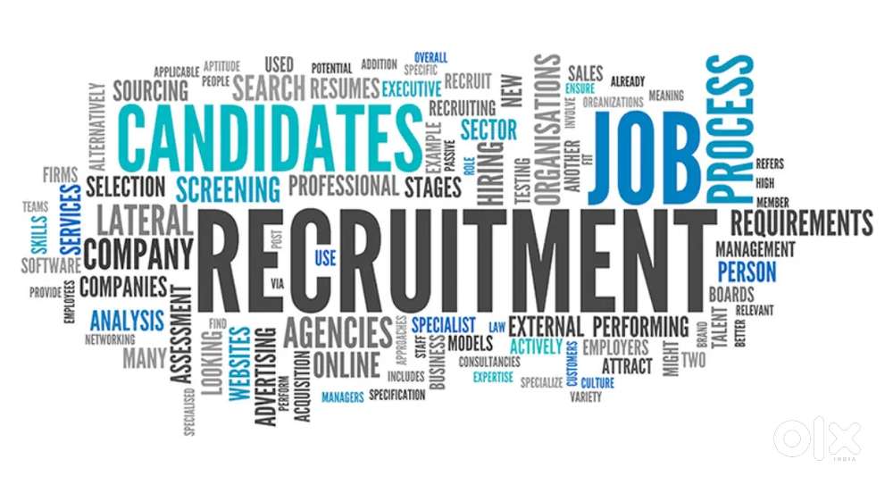 Hr Recruiter