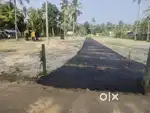 കരുനാഗപ്പള്ളി ചിറ്റിമൂല ജംഗ്ഷന് സമീഭം വസ്തു വില്പനക്ക്