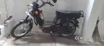 TVs xl 100 unused 8 months old