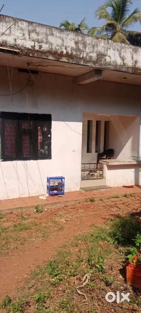 2  bhk quarters  pls contact