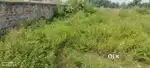 Plot 1.5 ktha