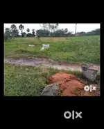 Land for sale in madurantakkam.