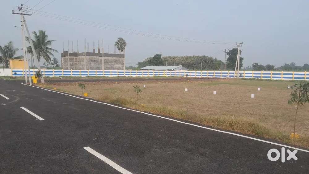 OPT IN PRITHIVI NAGAR PANRUTI.