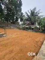 10CENT HOUSE PLOT PULLANIVILA GANTHIPURAM ROAD 50MTR MAIN ROAD