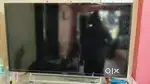 LED Television