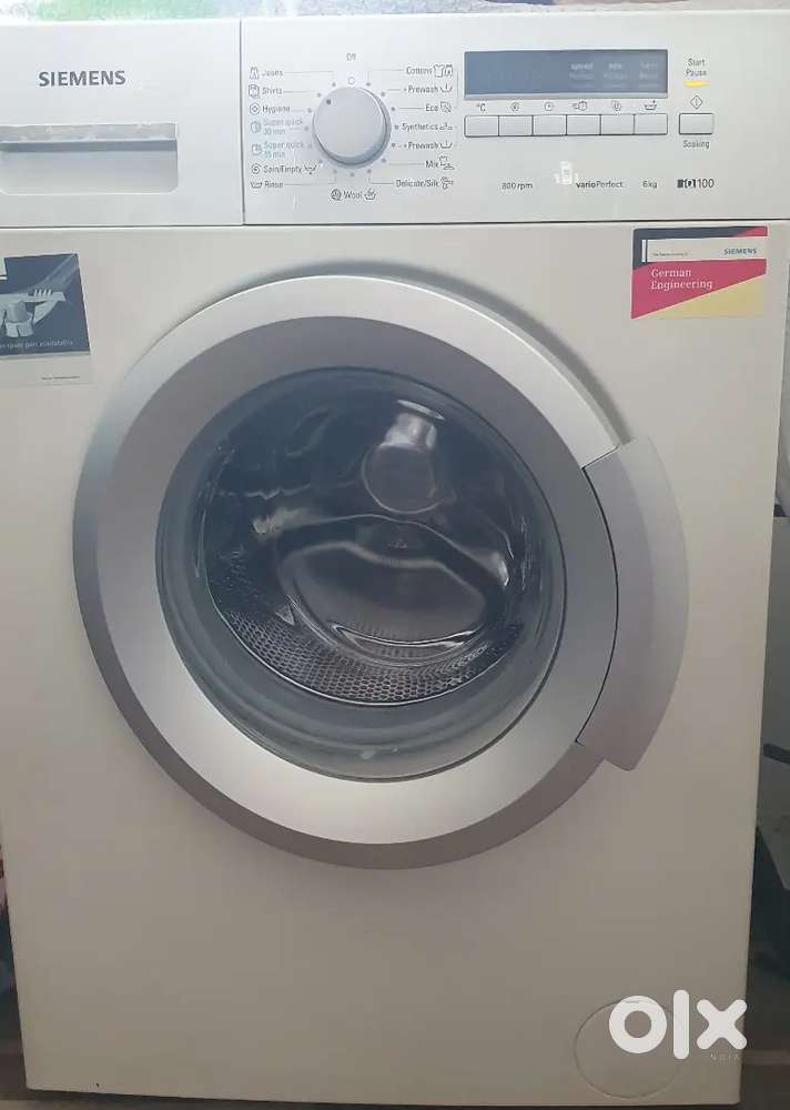 Siemens 1 month old 6 kg