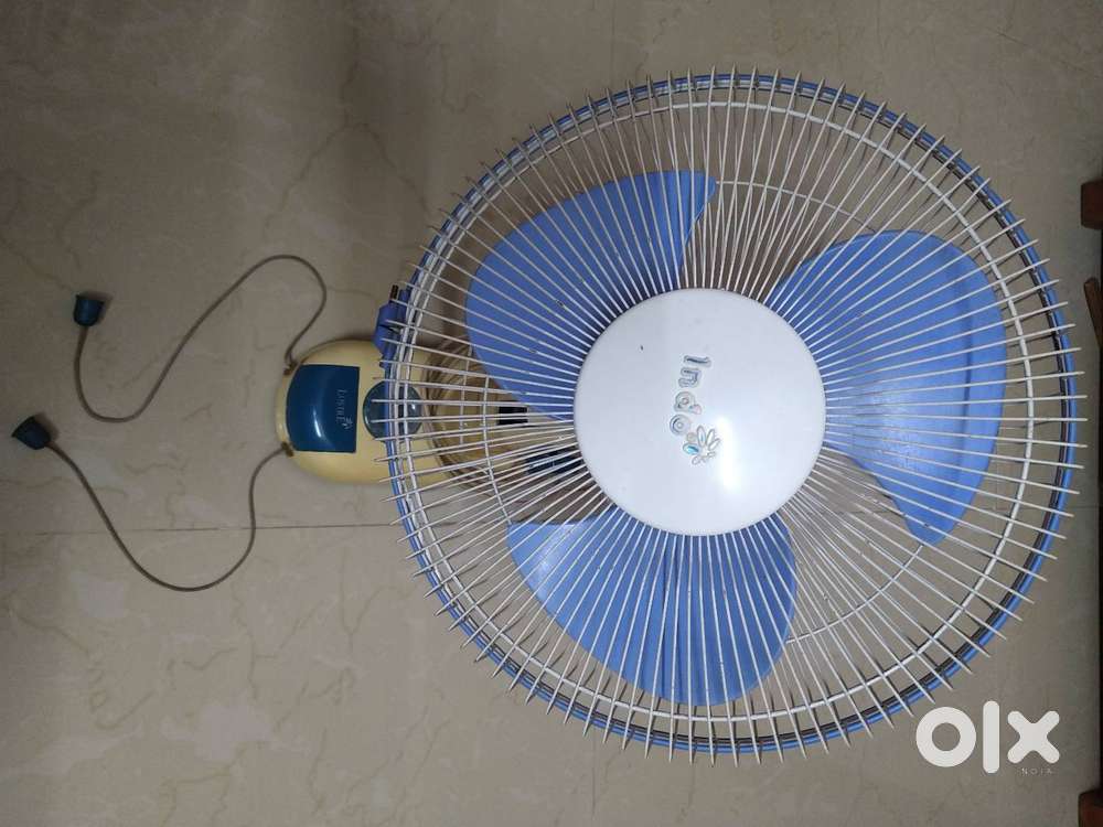 Indo Luster wall Fan (White)