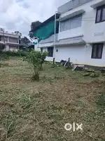 7.5 Cent plot for sale pathanapuram