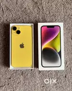Latest iPhone collection available here at budget-friendly smart price