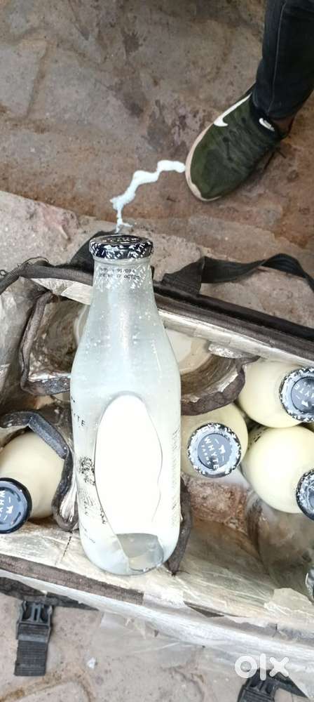 Part time milk delivery job.