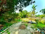 Miyadi land sale