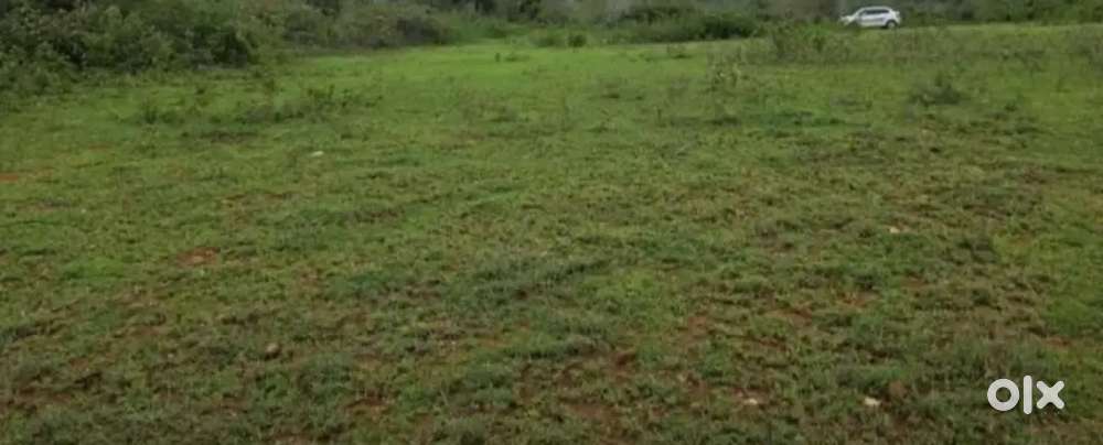 1.25 Acre Farming land for sale 25 km away from coimbatore