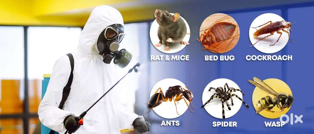 Pest control services only