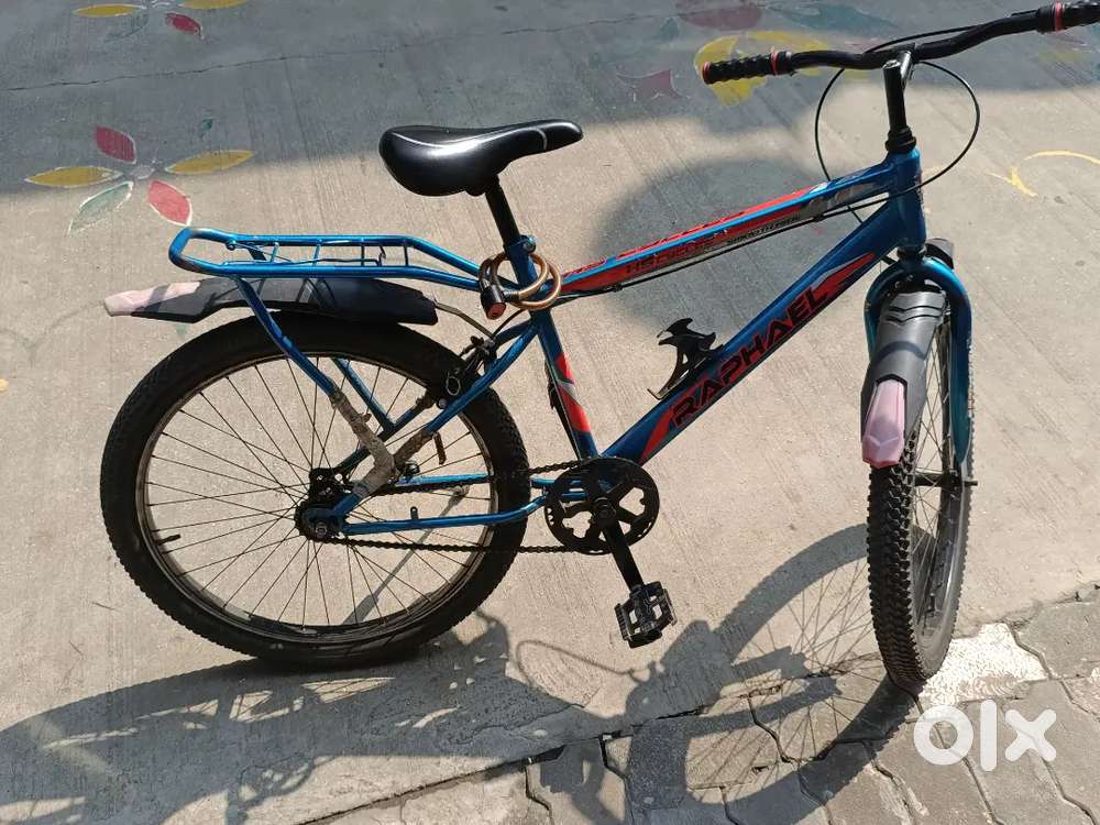 Raphael Bicycle