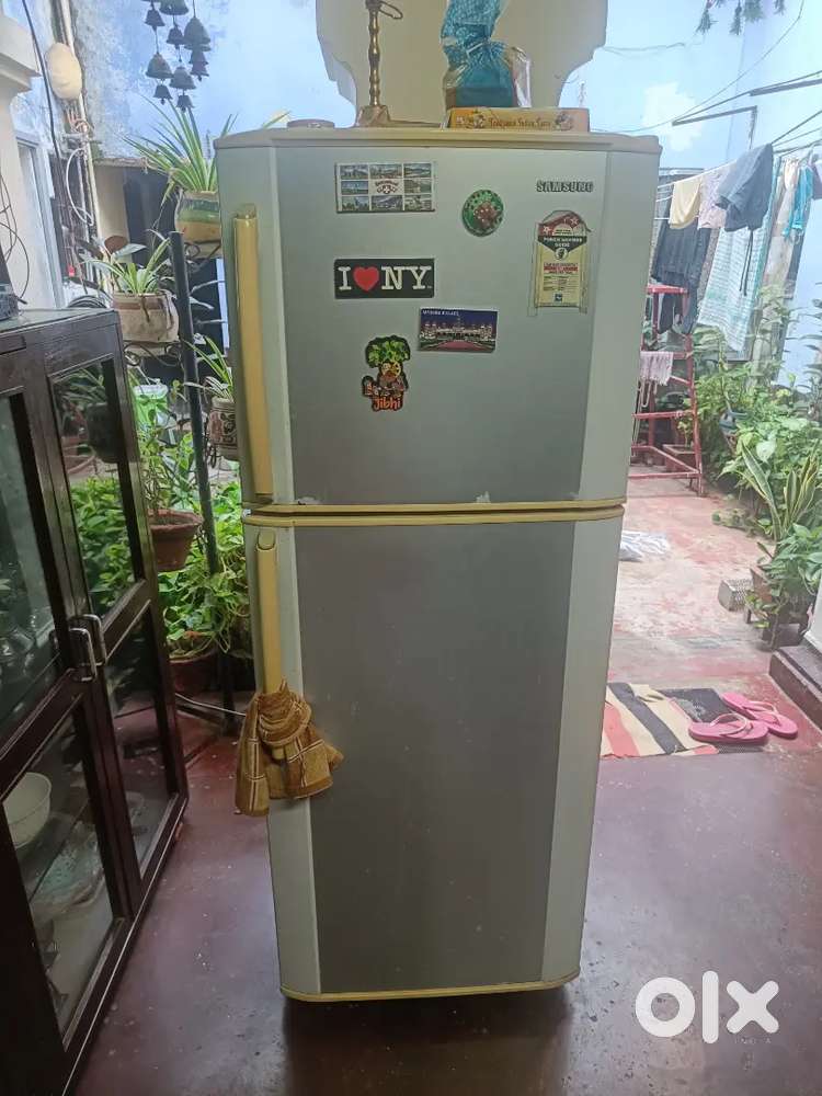 Refrigerator/ Fridge