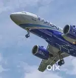 Jobs in indigo airlines apply fast