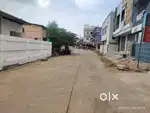 Sambhamurthy nagar..NORTH FACING SITE( 200 SQ.YDS)