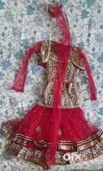 Ghagra choli