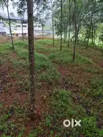Land for Sale 25cent
