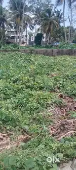 Commercial Plot For Sale Near Lulumall Trivandrum . N H . Frontage