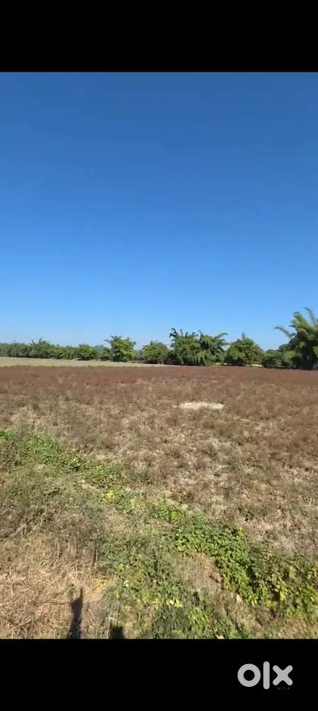 Ramnagar me plots for sale 850sft rate h main road se 250m under