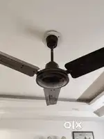 3 Orient PSPO fancy celling fan heavy duty motor urgent sale shifting