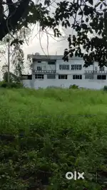 Farm land near airport