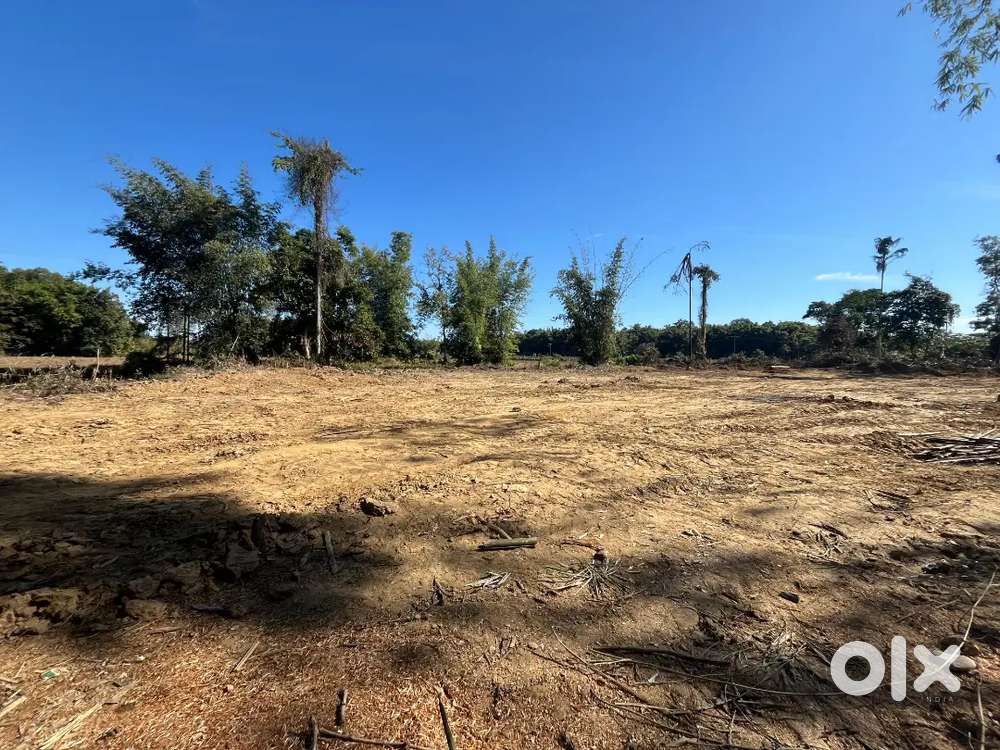 650 par kotha Hyland