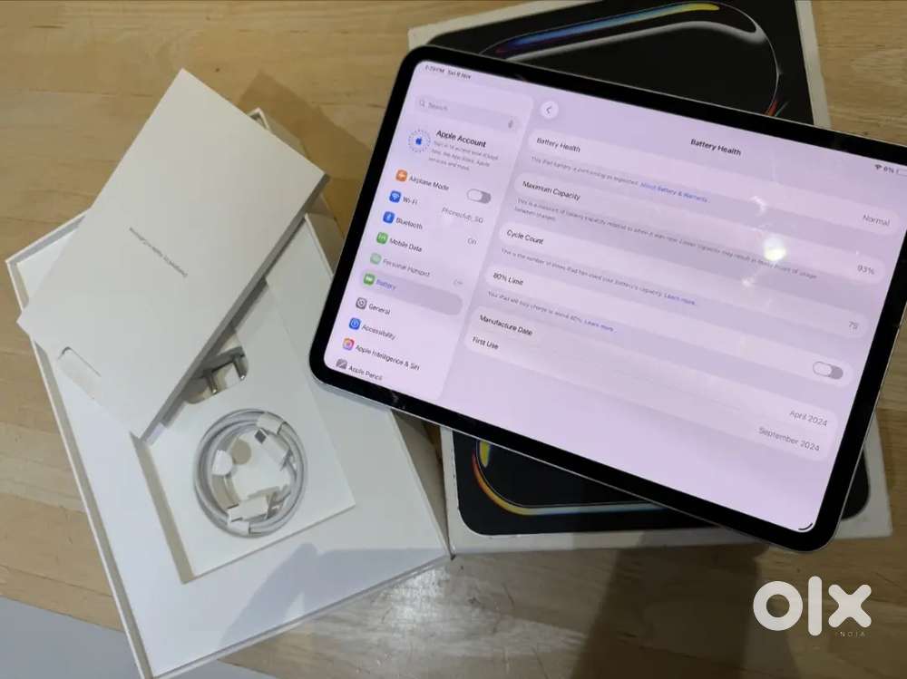 Apple iPad Pro 11 M4  256GB  WiFi + 5G Cellular  Silver Like New