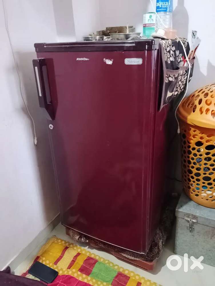 Kelvneter single door freez