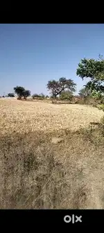 Ek ekad jameen hai airport road gram Kath pun