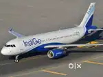 IndiGo airlines vacancy jobs for Airport Ground staff