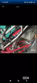 Avon cycle