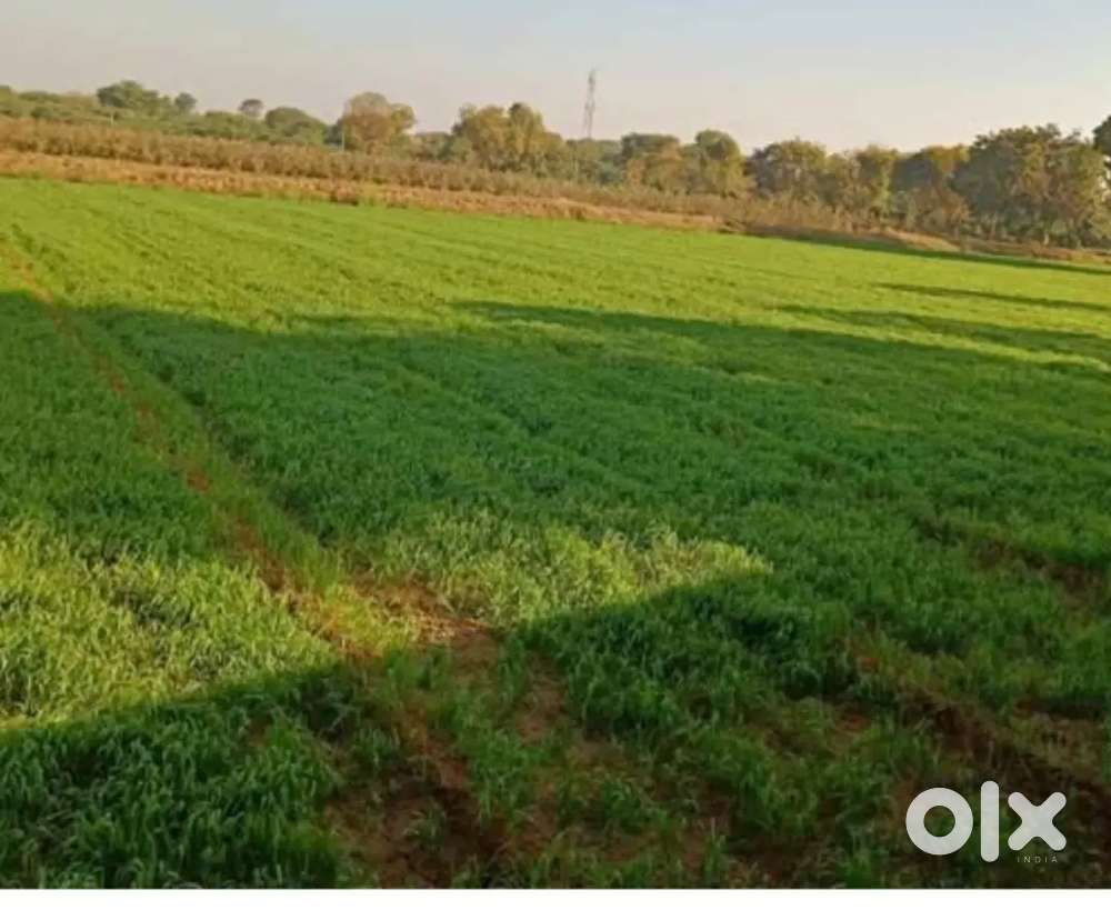 NA થયેલી જમીન વેચાણ માટે  છે