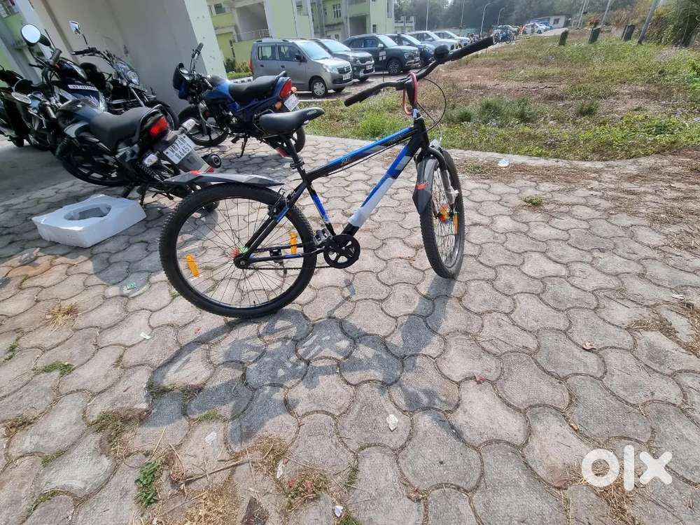 Brand new cycle (3 months old)