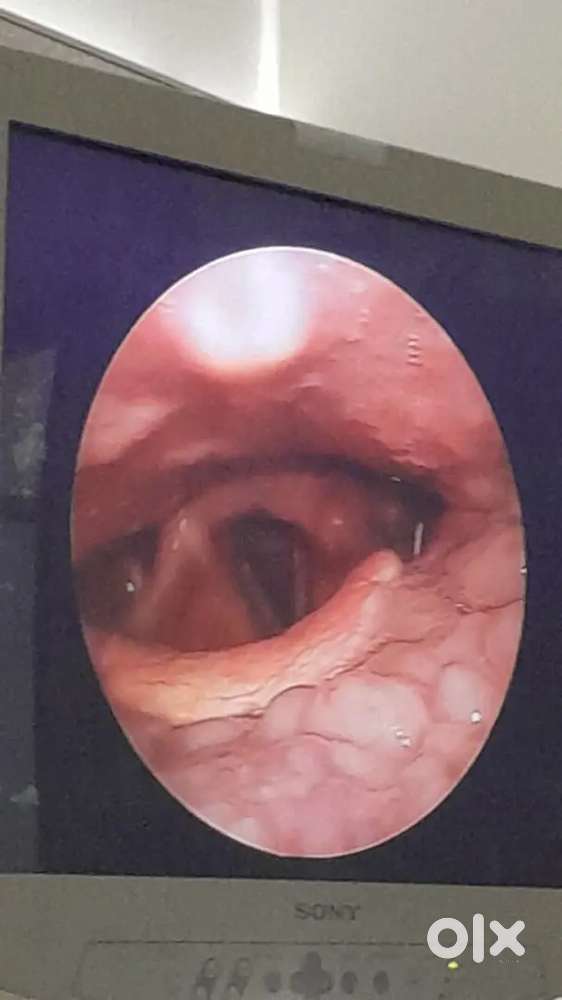 Receptionist cum assistant to doctor at Dr kirans ENT Hospital