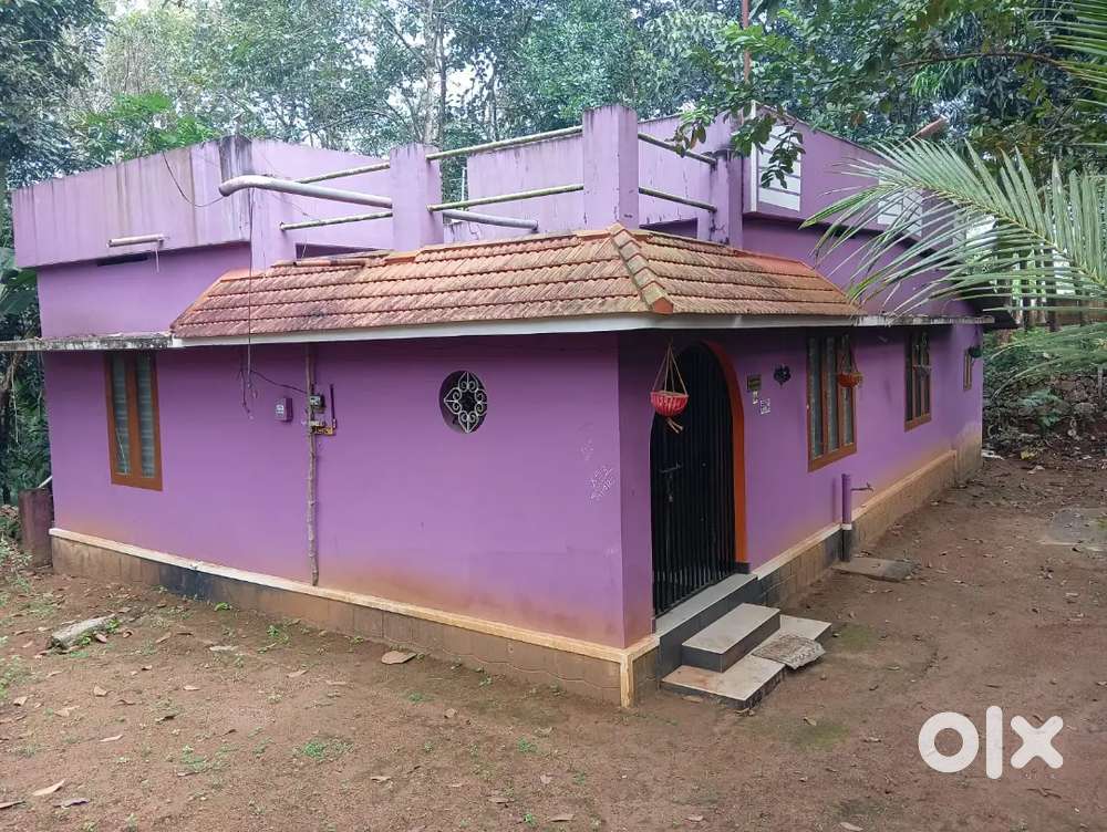 House and plot for sale