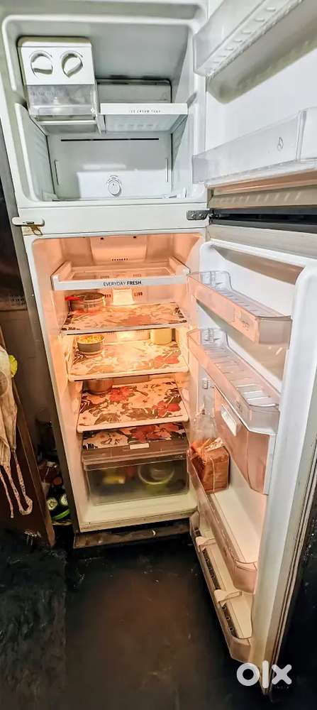 Whirlpool 292 ltr Fridge (with Warranty & bill)