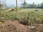 Sonapur miadi patta land first plot 3 katha