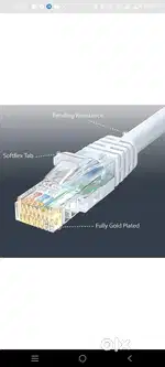 Cat 5 Cavil
