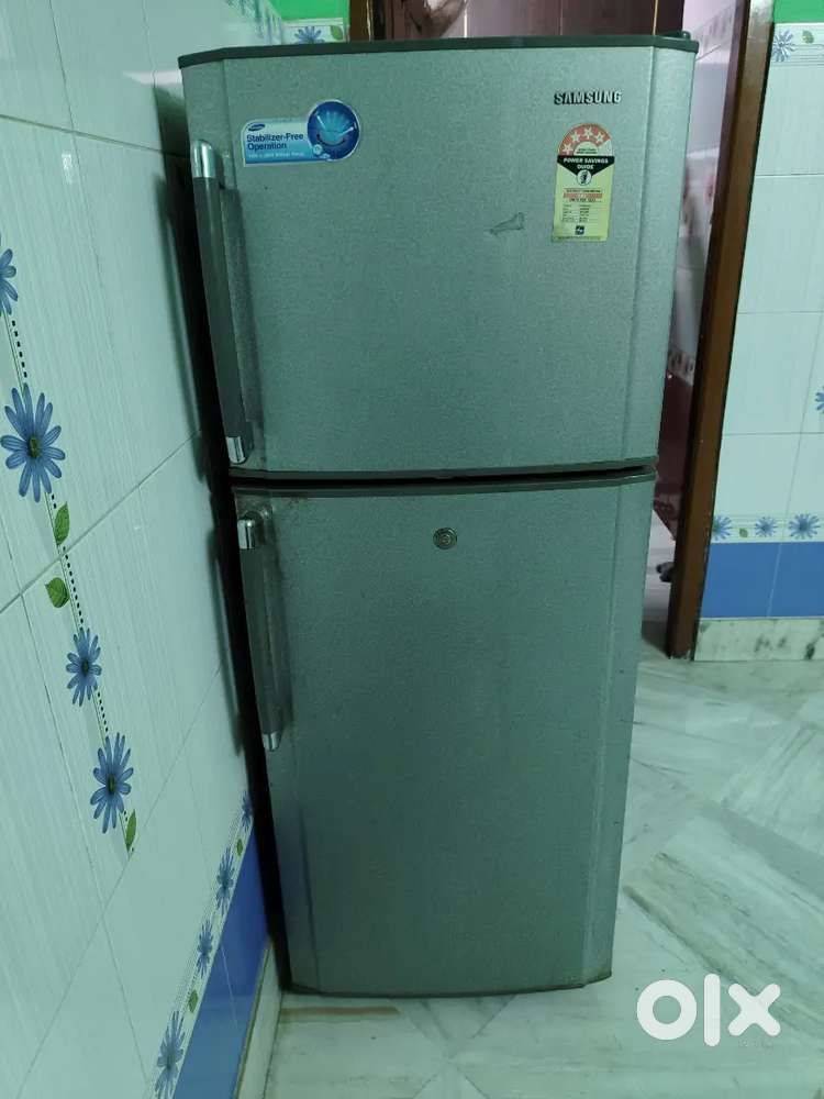 Double dour fridge