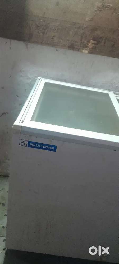 Blue star firig 300 liter