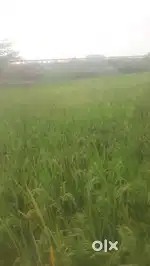 (In NH highways) Agricultural land for sale in National highways