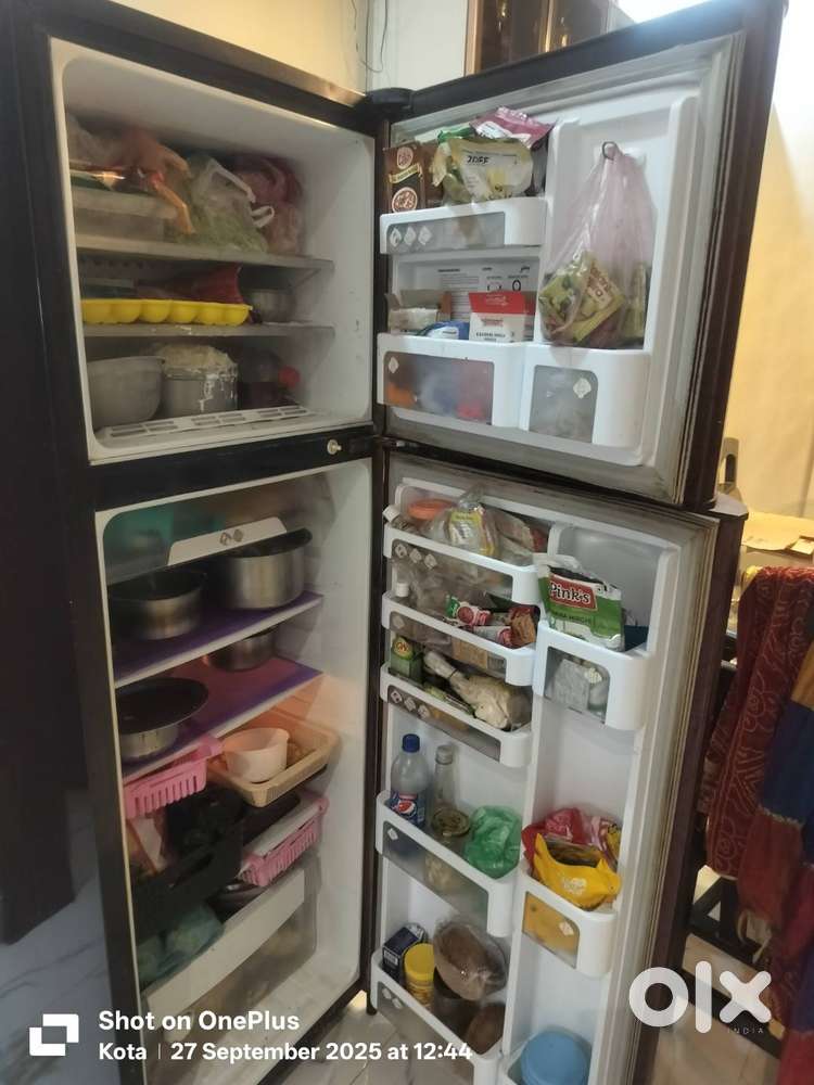Fridge Double door fridge 305L