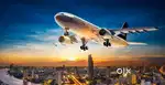 Urgent hiring for indigo airlines apply fast